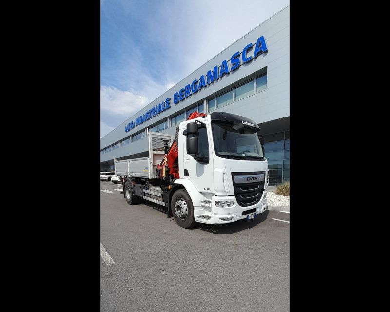 DAF DAF LF320 GRU FASSIF155 CASSONE  RIBALTABILE - AUTO INDUSTRIALE BERGAMASCA